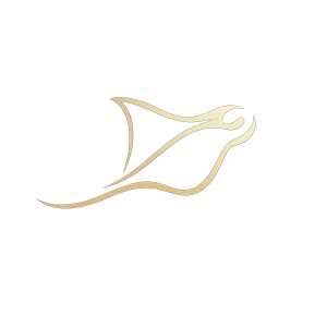 Manta Ray Dune – Family Pack